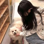 棋牌游戏app下载